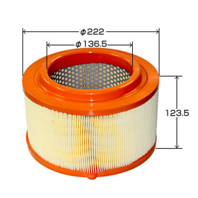 VIC Air Filter A-482 for Ford Ranger GBVA, SAFA, Mazda BT-50 MZ-CD, L5