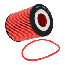 Load image into Gallery viewer, K&N High Performance Oil Filter HP-7043