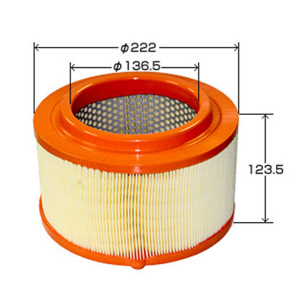 VIC Air Filter A-482 for Ford Ranger GBVA, SAFA, Mazda BT-50 MZ-CD, L5