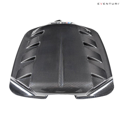 Eventuri Carbon Fiber Inlet Plenum for BMW E9X M3