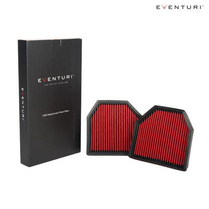 Eventuri Panel Filter Pair for BMW F1X M5/M6