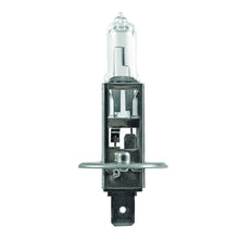 Load image into Gallery viewer, Hella Standard Halogen Bulb H1 55W 12V
