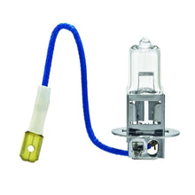 Load image into Gallery viewer, Hella Standard Halogen Bulb H3 55W 12V
